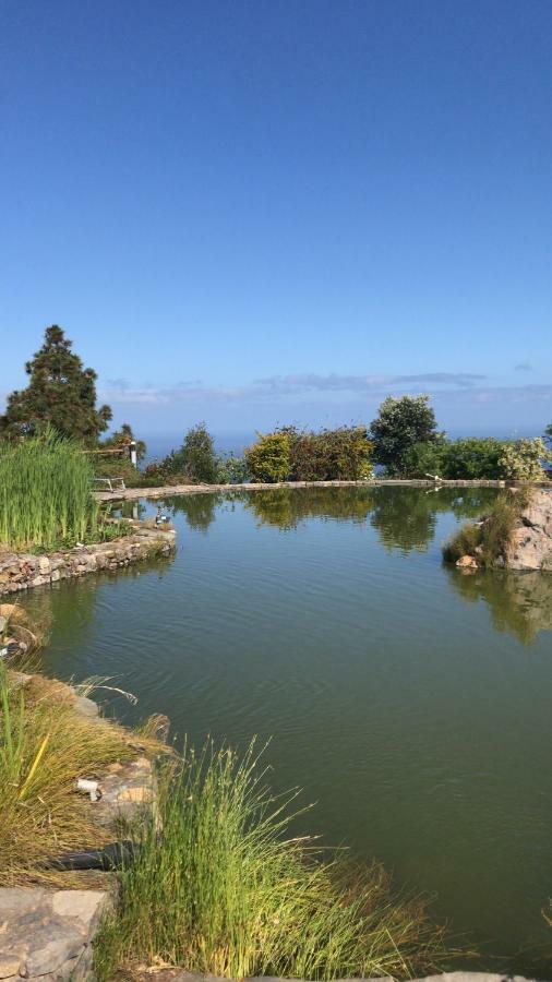 Riendas Vivas La Guancha Dış mekan fotoğraf