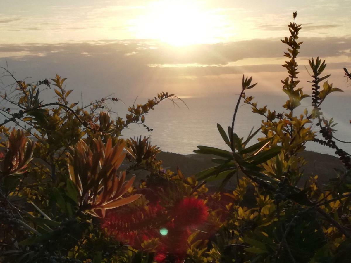 Riendas Vivas La Guancha Dış mekan fotoğraf