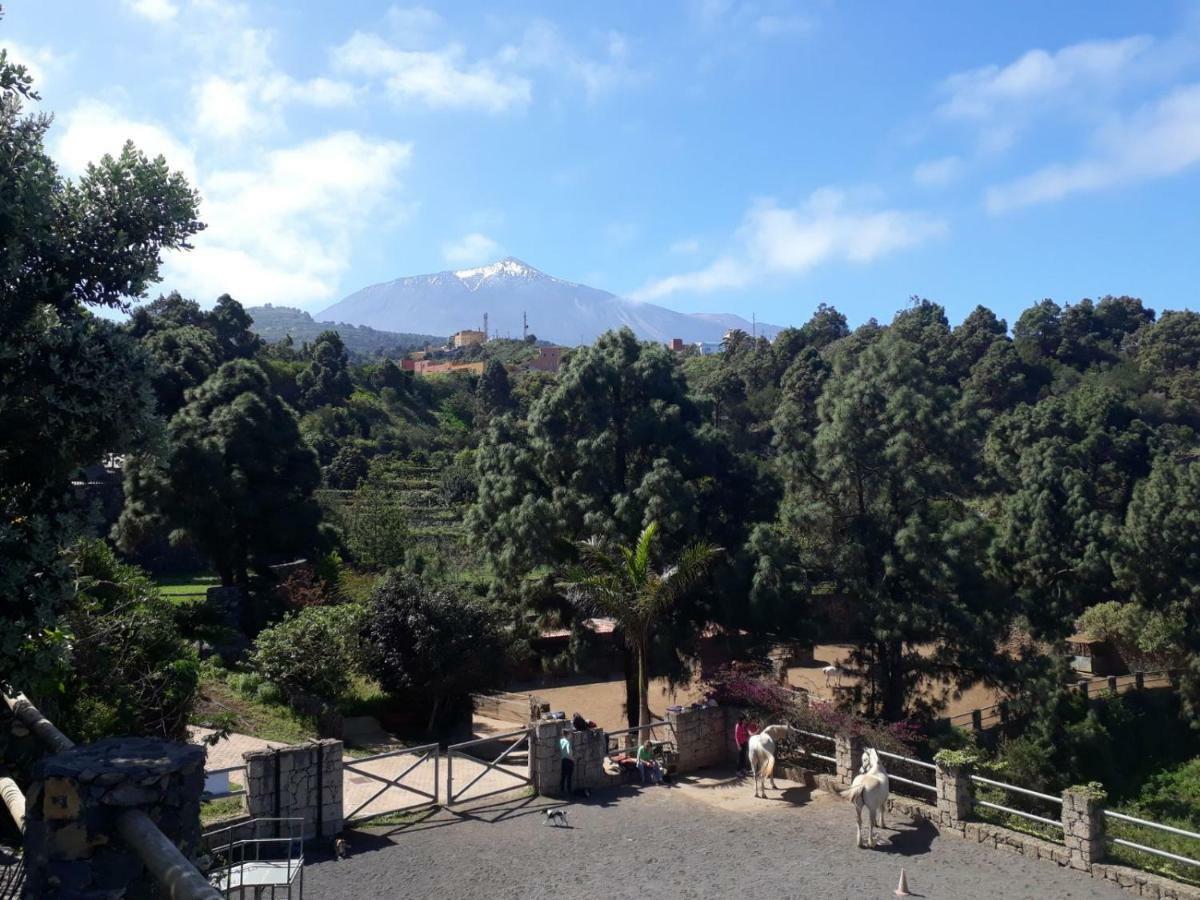 Riendas Vivas La Guancha Dış mekan fotoğraf
