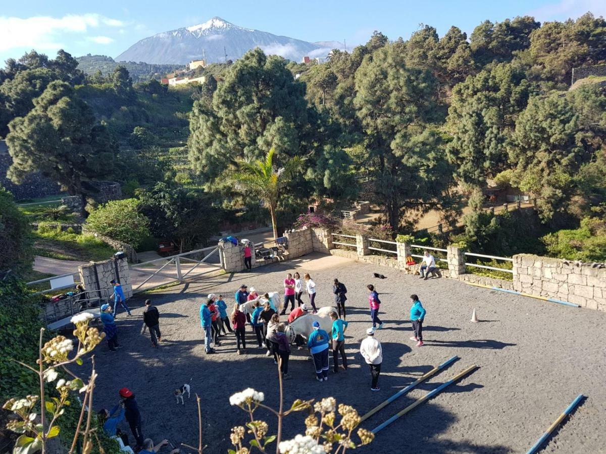 Riendas Vivas La Guancha Dış mekan fotoğraf